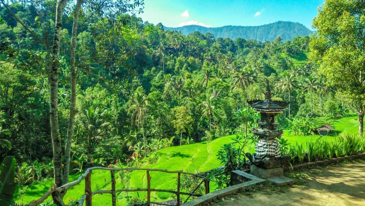 Buda'S Homestay Lemukih Buleleng Exterior foto