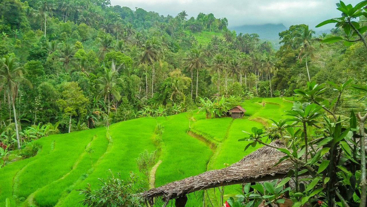 Buda'S Homestay Lemukih Buleleng Exterior foto